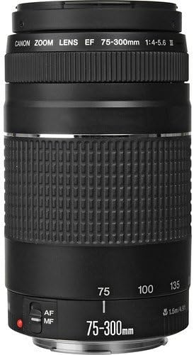 Canon EF 75-300mm f/4-5.6 III Telephoto Zoom Lens (Black)