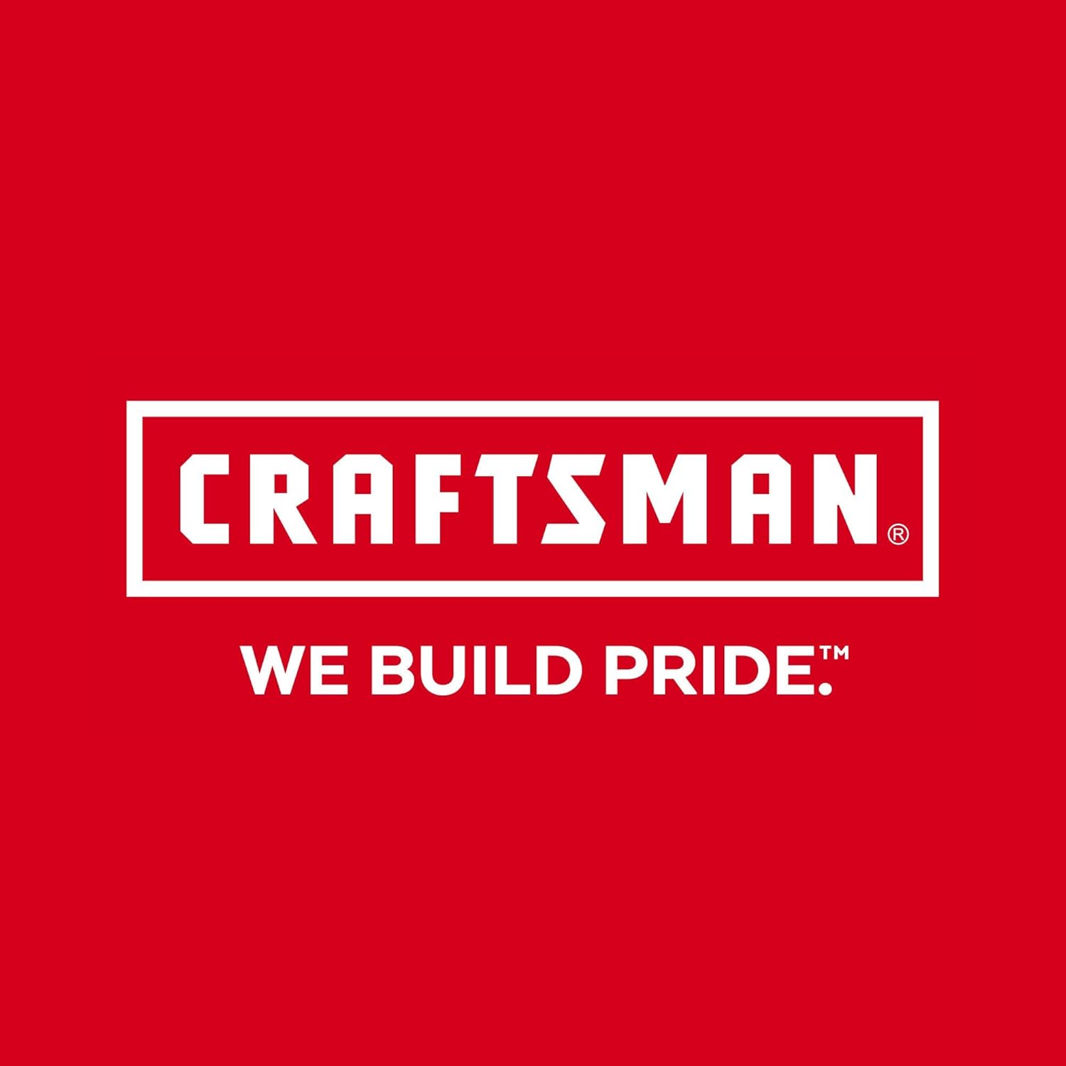 CRAFTSMAN V20 MAX Cordless Drill Driver and Impact Driver Set, Power Tool Set with 2 Batteries and Charger, LED Work Light, 2 Bits, Bag (CMCK200C2)