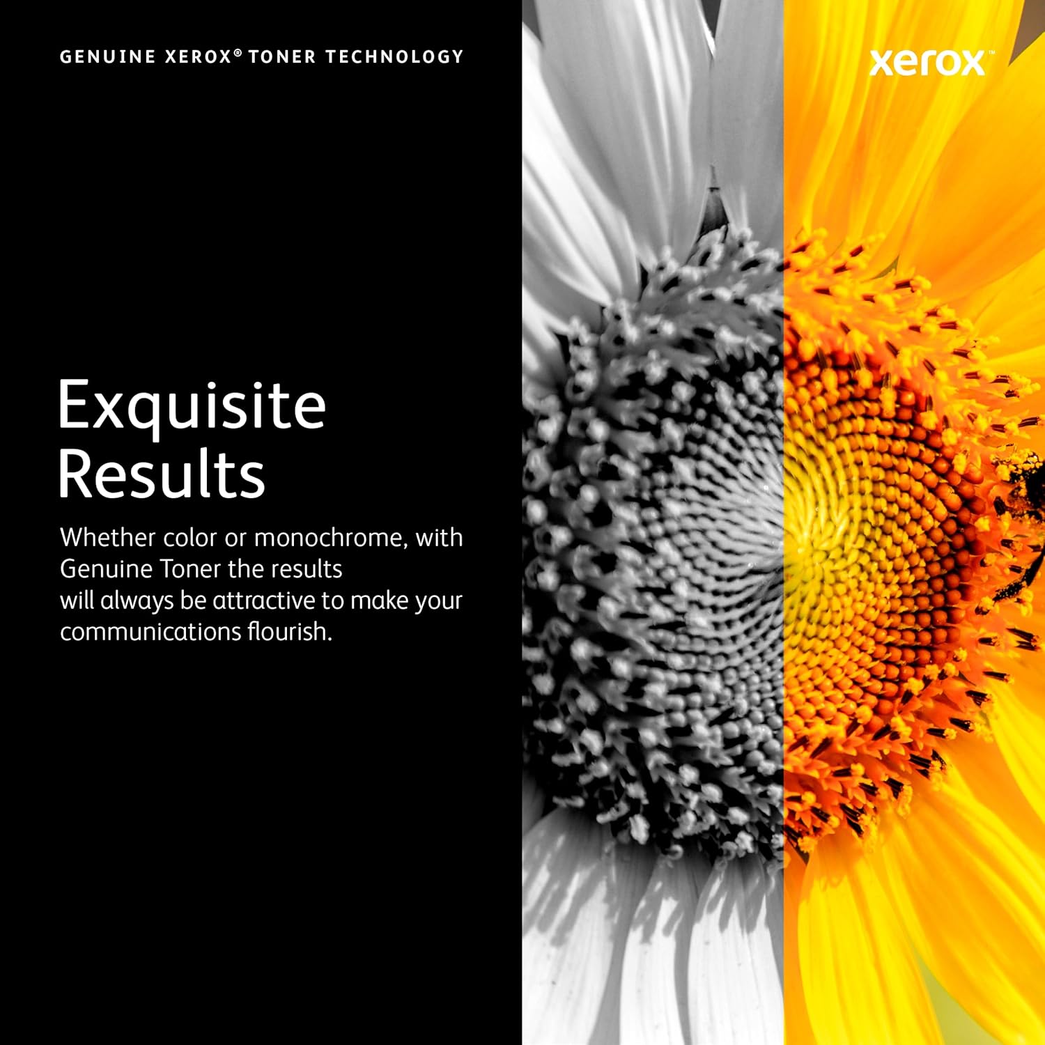 Xerox C310/C315 Black Standard Capacity Toner Cartridge