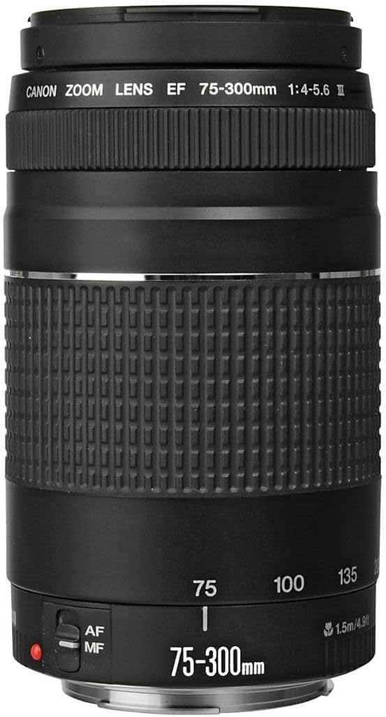 Canon EF 75-300mm f/4-5.6 III Telephoto Zoom Lens for Canon SLR Cameras, 6473A003 (Renewed)