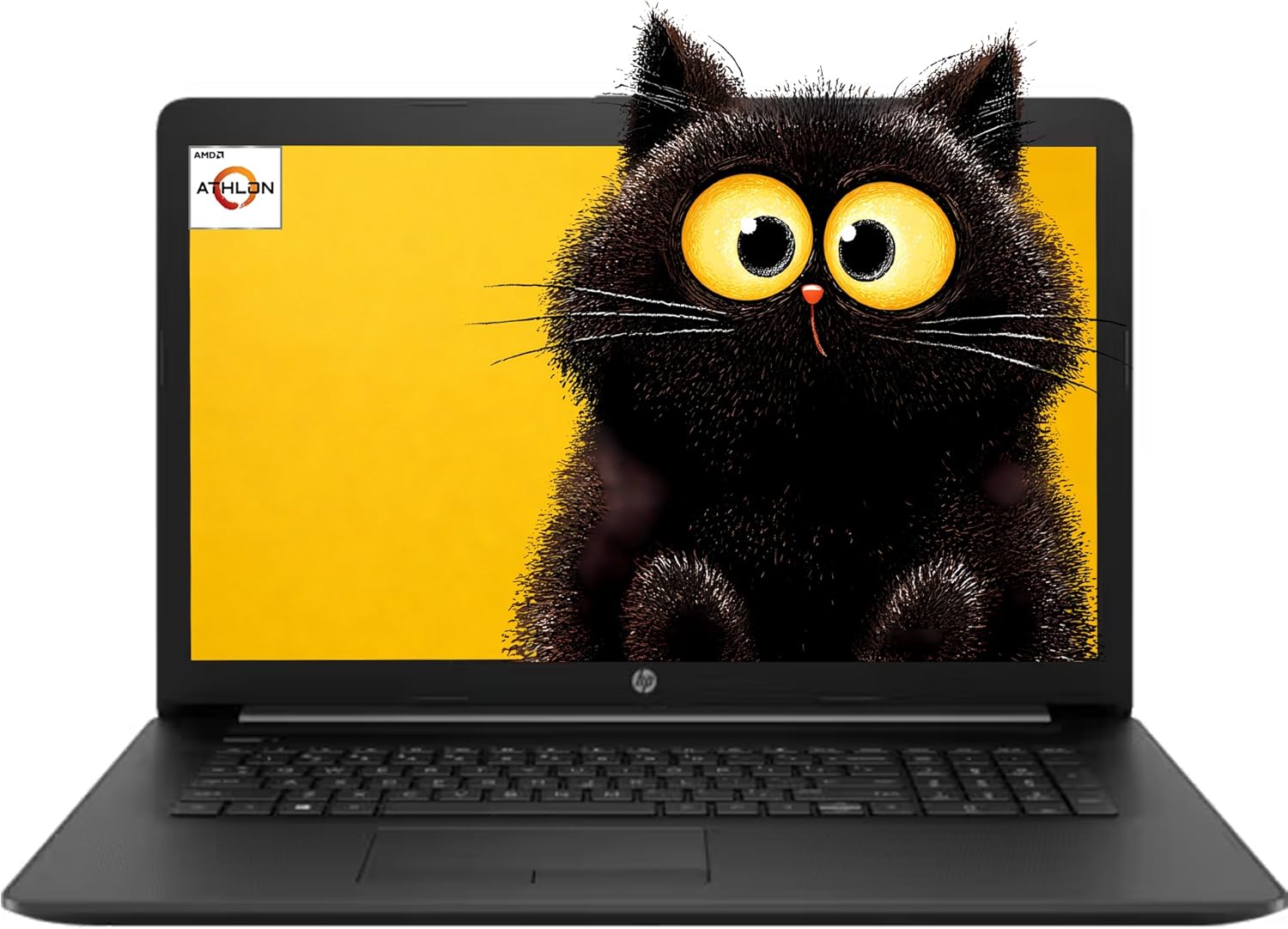 HP 17.3" HD+ (1600 x 900) Anti-Glare WLED-Backlit Laptop Computer, for Students & Business Professionals| AMD 2-Core CPU| 8GB RAM|1TB HDD| Wi-Fi| Webcam| DVD-Writer| Numeric Keypad| Windows 10