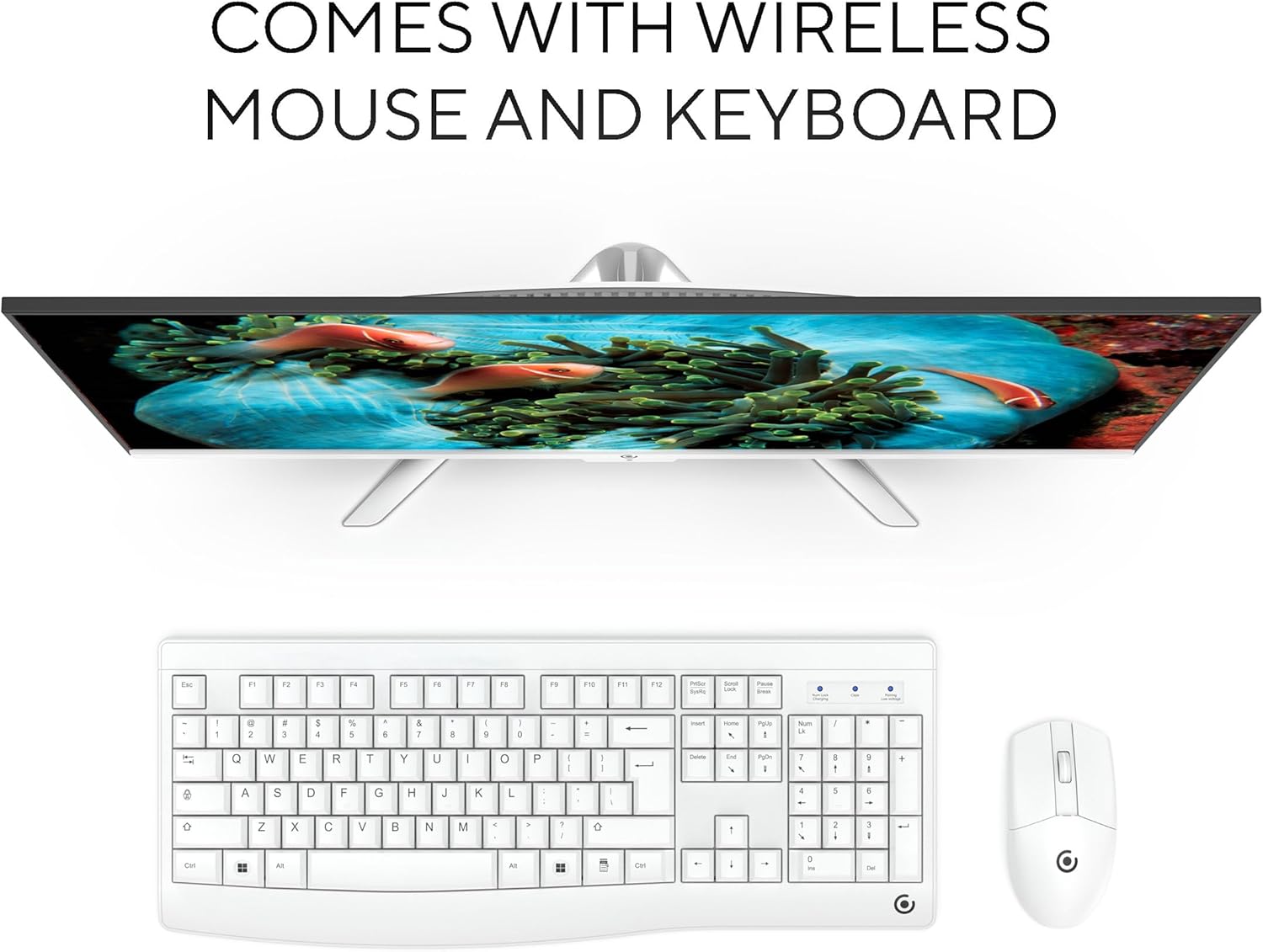 24" All-in-One Desktop PC with Windows 11