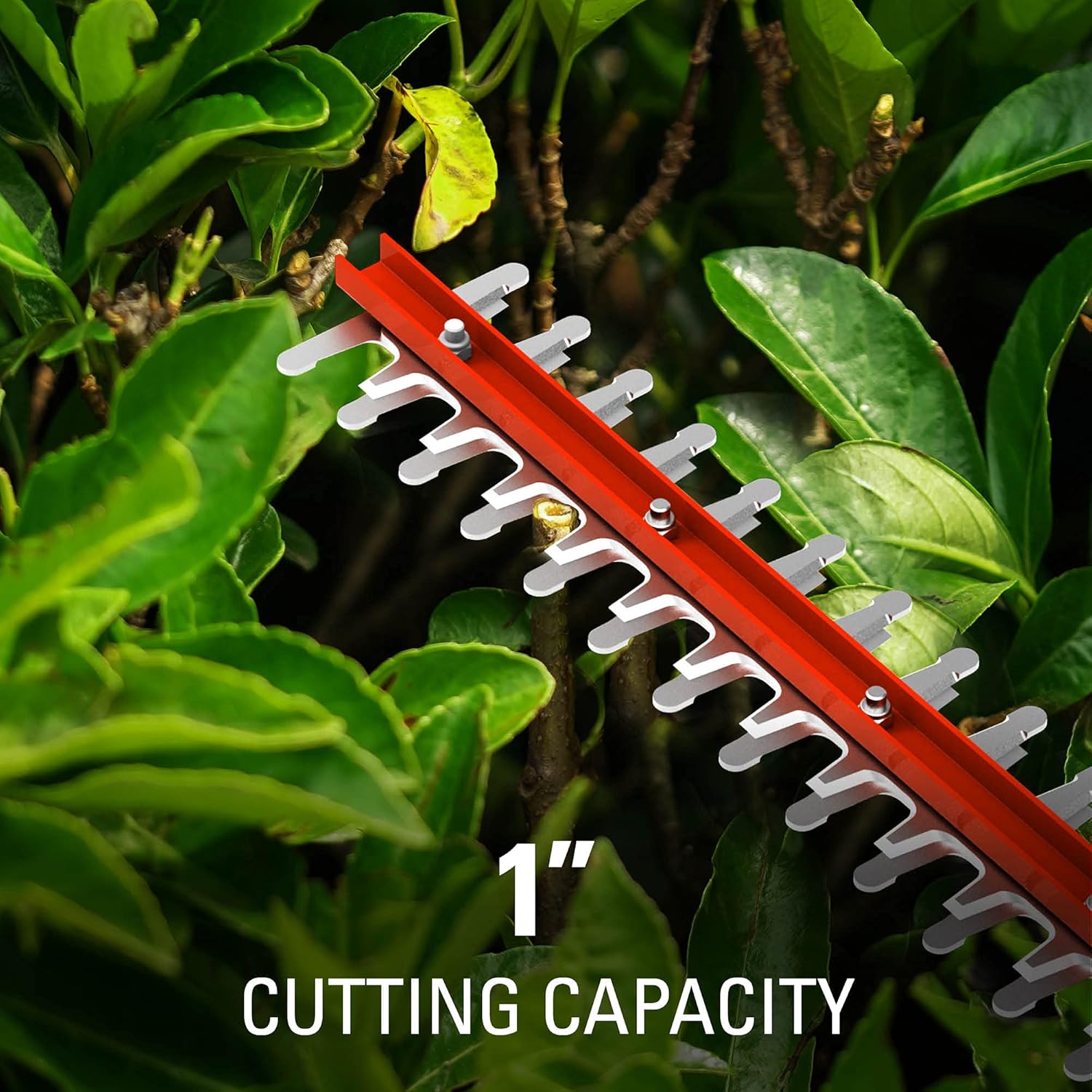 Greenworks 40V 24" Cordless Hedge Trimmer (1" Cutting Capacity), 2.0Ah USB Battery and Charger Included