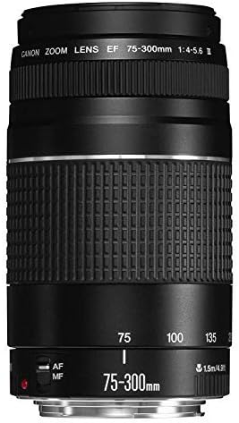 Canon EF 75-300mm f/4-5.6 III Telephoto Zoom Lens for Canon SLR Cameras