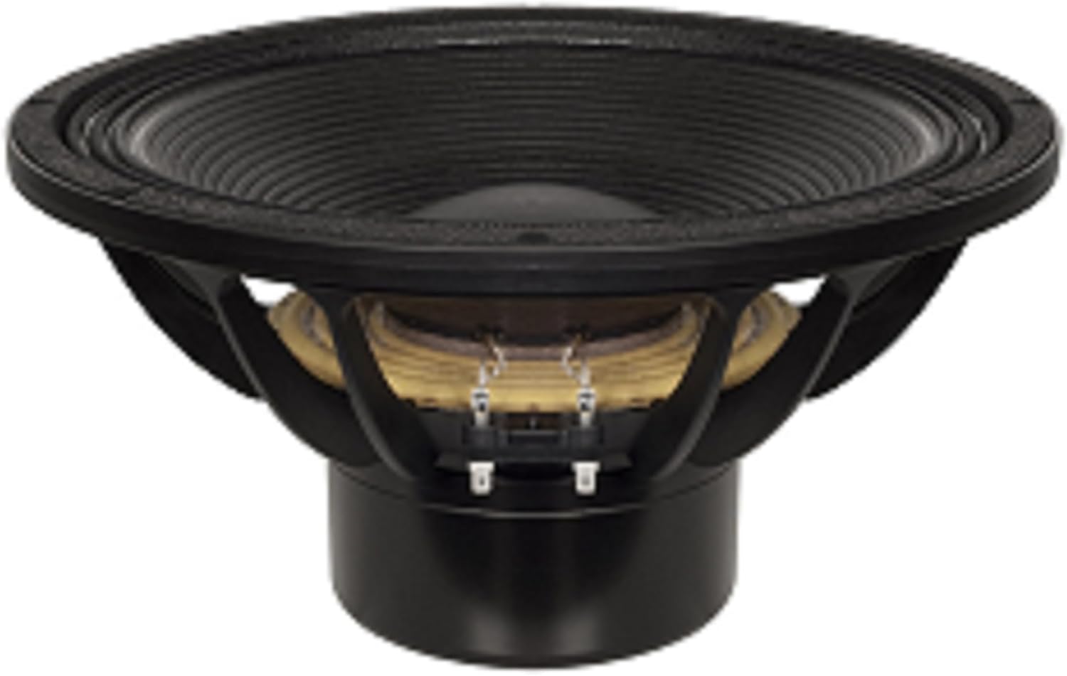 B&C Speakers 15DS115-4 LF Drivers 15-inch 4 Ohms Impedance 1600 Watts Rms 3200 Watts Max Neodymium Pro Audio Component Speaker Driver for Motorcycle Car