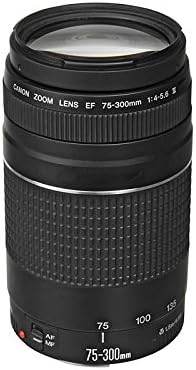 Canon EF 75-300mm f/4-5.6 III Telephoto Zoom Lens (Black)
