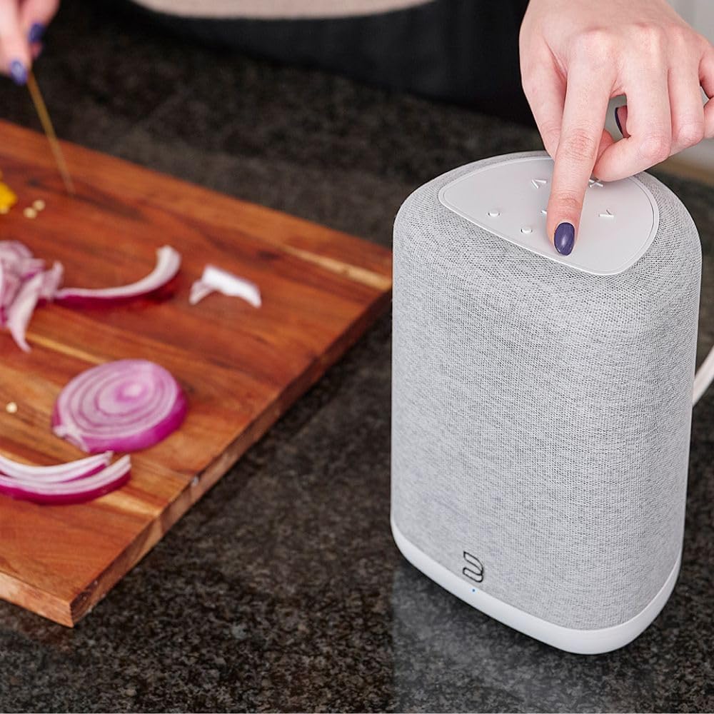 Bluesound Pulse Flex Wireless Bluetooth Hi-Res All-in-One, AirPlay 2, Spotify Connect, Alexa Skills, Multi-Room Audio Speaker - White/Pebble