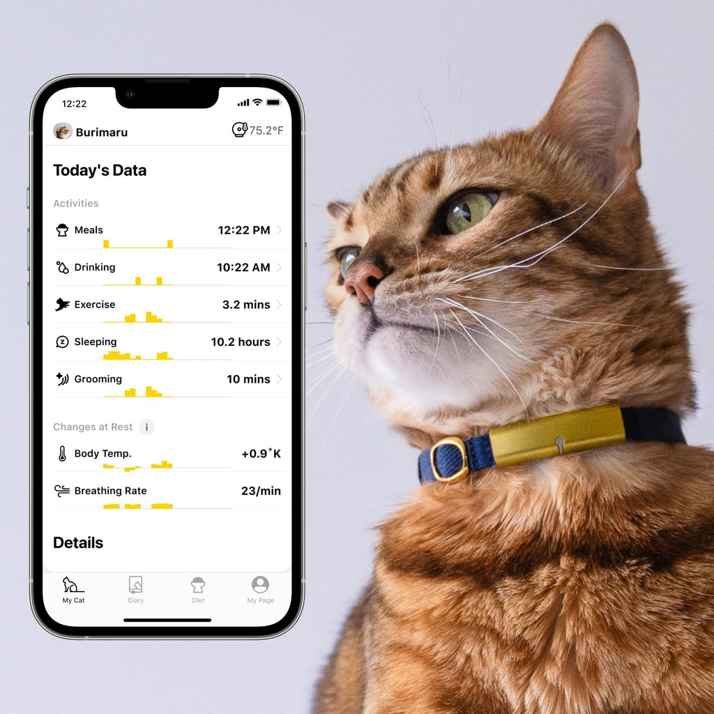 Health Tracker for Cats - Smart Cat Collar with Safety Breakaway Buckle for Indoor Cats, Wellness Alerts, Real-time Monitoring (Kimono (Ume),L)