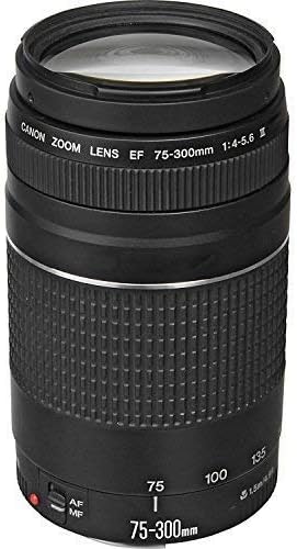 Canon EF 75-300mm f/4-5.6 III Telephoto Zoom Lens for Canon SLR Cameras, 6473A003 (Renewed)