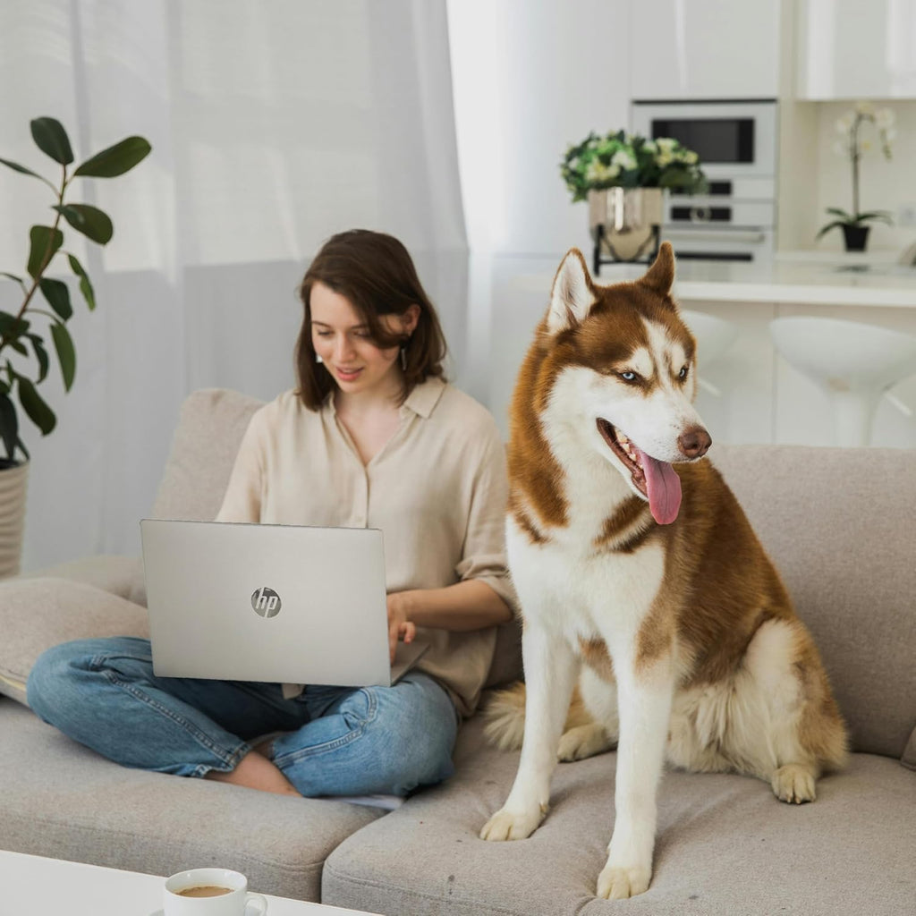 HP New 15.6 inch Laptop Computer, 2025/2026 Edition, Intel High-Performance 4 cores N100 CPU, 16GB RAM, 512GB SSD, Long Battery Life, Ultra-Quiet Design, Windows 11 Pro with Microsoft Office