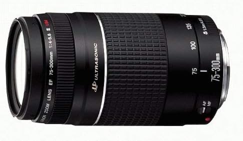 Canon EF 75-300mm f/4-5.6 III Telephoto Zoom Lens for Canon SLR Cameras