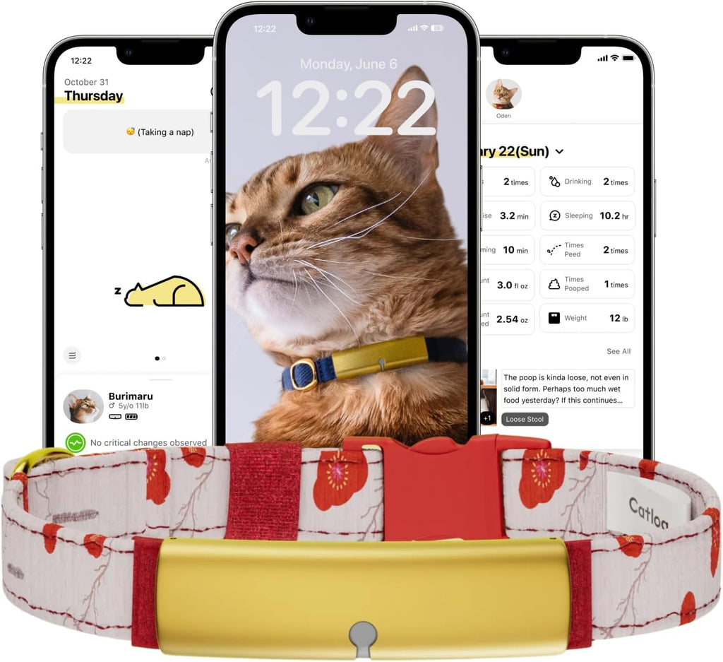 Health Tracker for Cats - Smart Cat Collar with Safety Breakaway Buckle for Indoor Cats, Wellness Alerts, Real-time Monitoring (Kimono (Ume),L)