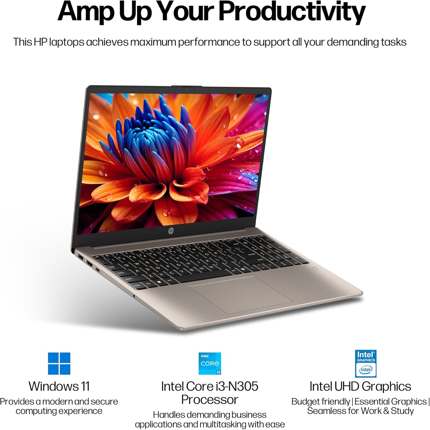 HP 15.6 inch FHD IPS Touchscreen Laptop, Windows 11 Pro, Intel Core i3-N305 Processor, 8GB RAM, 256GB SSD, Webcam Privacy Shutter, Copilot, w/Stylus Pen HDMI, Cozy Cashmere