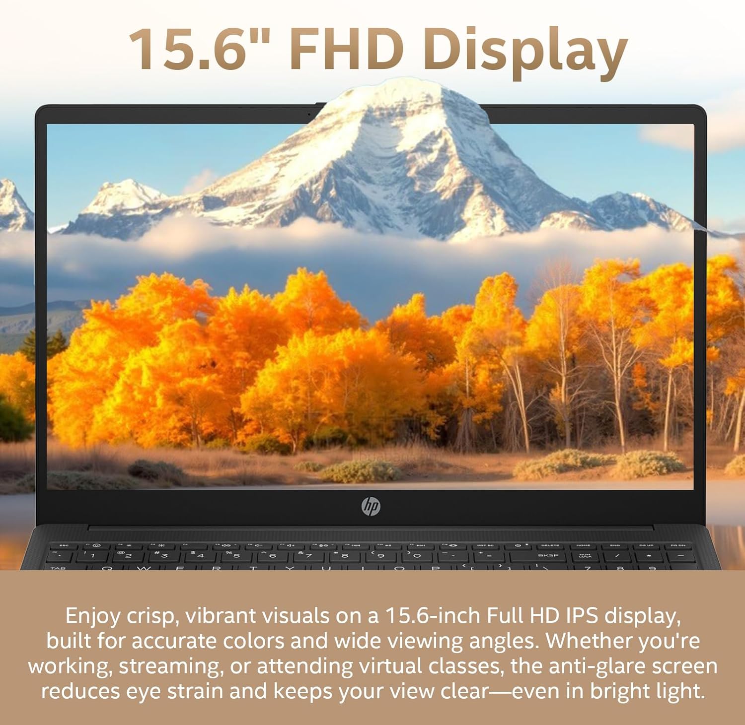 HP Flagship Business Laptop, 15.6" FHD IPS Display, AMD Ryzen 7 7730U, 20GB RAM, 512GB PCle SSD, Windows 11 Pro, Copilot AI, WiFi 6, Bluetooth, Numeric Keyboard, with Patented Accessories, Black
