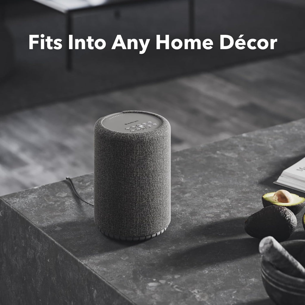Audio Pro A10 MKII Wireless Multiroom Speaker, WiiM Edition | High Fidelity, Bluetooth, WiFi | Compatible with AirPlay 2, Google Cast, Siri, WiiM Home App, Stream Spotify, Tidal & More, Dark Gray